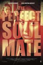 Watch The Perfect Soulmate Megashare8