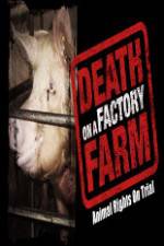 Watch Death on a Factory Farm Megashare8