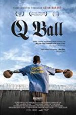Watch Q Ball Megashare8