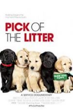 Watch Pick of the Litter Megashare8