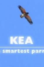 Watch Kea - The Smartest Parrot Megashare8