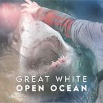 Watch Great White Open Ocean Megashare8