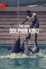 Watch The Last Dolphin King Megashare8
