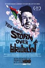 Watch Yusuf Hawkins: Storm Over Brooklyn Megashare8