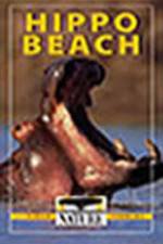 Watch PBS Nature - Hippo Beach Megashare8