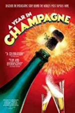 Watch A Year in Champagne Megashare8