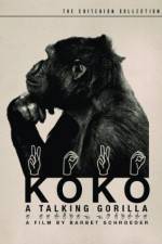 Watch Koko, le gorille qui parle Megashare8