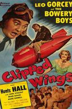 Watch Clipped Wings Megashare8