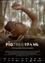 Watch Fig Tree Megashare8