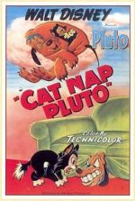 Watch Cat Nap Pluto Megashare8