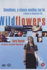 Watch Wildflowers Megashare8