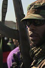 Watch Black Power: America\'s Armed Resistance Megashare8