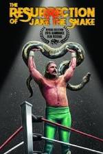 Watch The Resurrection of Jake The Snake Roberts Megashare8