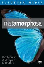 Watch Metamorphosis: The Beauty and Design of Butterflies Megashare8