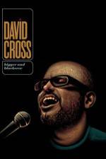 Watch David Cross Bigger & Blackerer Megashare8