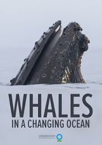 Watch Whales in a Changing Ocean (Short 2021) Online Megashare8