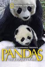 Watch Pandas: The Journey Home Megashare8