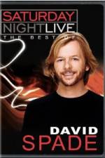 Watch Saturday Night Live The Best of David Spade Megashare8