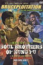 Watch Soul Brothers of Kung Fu Megashare8