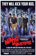 Watch Ninja Busters Megashare8