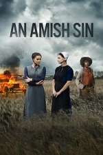 Watch An Amish Sin Megashare8