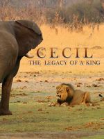 Watch Cecil: The Legacy of a King Megashare8