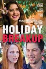 Watch Holiday Breakup Megashare8