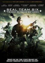 Watch Seal Team Six: The Raid on Osama Bin Laden Megashare8