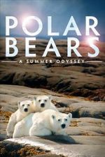 Watch Polar Bears: A Summer Odyssey Megashare8