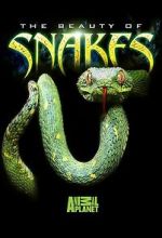 Watch Beauty of Snakes Megashare8