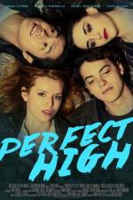 Watch Perfect High Megashare8