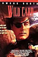 Watch Wild Card Megashare8