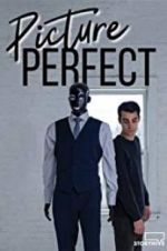 Watch Picture Perfect Megashare8