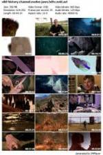 Watch History Channel Evolve: Jaws Megashare8