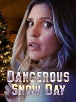 Watch Dangerous Snow Day Megashare8