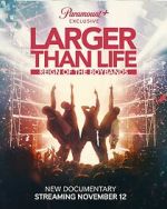 Watch Larger Than Life: Reign of the Boybands Megashare8