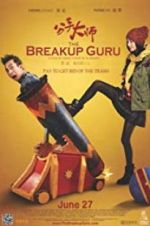 Watch The Breakup Guru Megashare8