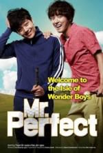 Watch Mr. Perfect Megashare8