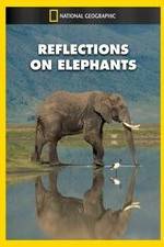 Watch Reflections on Elephants Megashare8