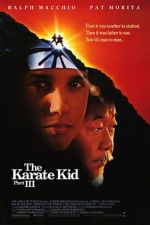 Watch The Karate Kid Part III Megashare8