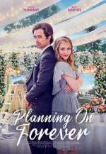 Watch Planning on Forever Megashare8