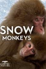 Watch Nature: Snow Monkeys Megashare8