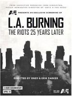 Watch L.A. Burning: The Riots 25 Years Later Megashare8