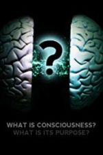 Watch What Is Consciousness? What Is Its Purpose? Megashare8