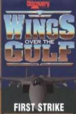 Watch Wings Over the Gulf Vol  1  First Strike Megashare8