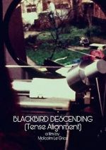 Watch Blackbird Descending Megashare8