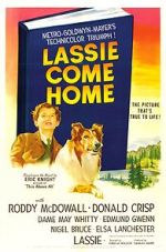 Watch Lassie Come Home Megashare8