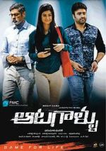 Watch Aatagallu Megashare8