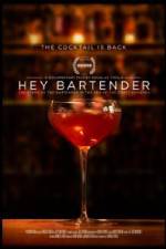 Watch Hey Bartender Megashare8