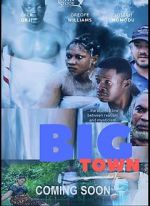 Watch Big Town Megashare8